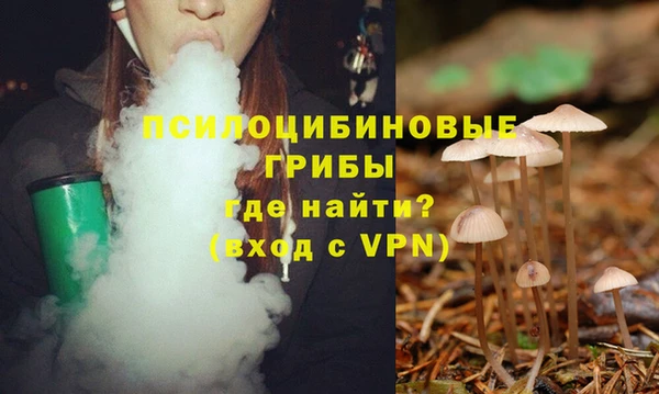 тгк Горняк