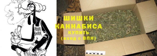 стаф Тында