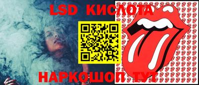 стаф Бийск