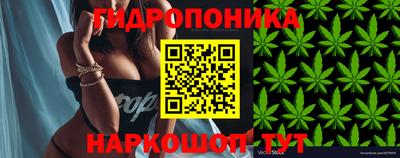 стаф Бийск