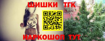 хмурый Бийск