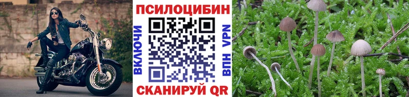 закладка  Вязники  Галлюциногенные грибы ЛСД 