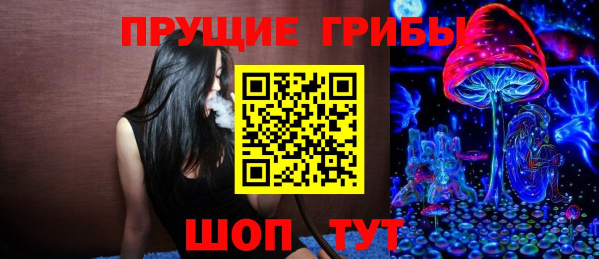 Псилоцибиновые грибы Cubensis  Вязники  Псилоцибиновые грибы Cubensis 