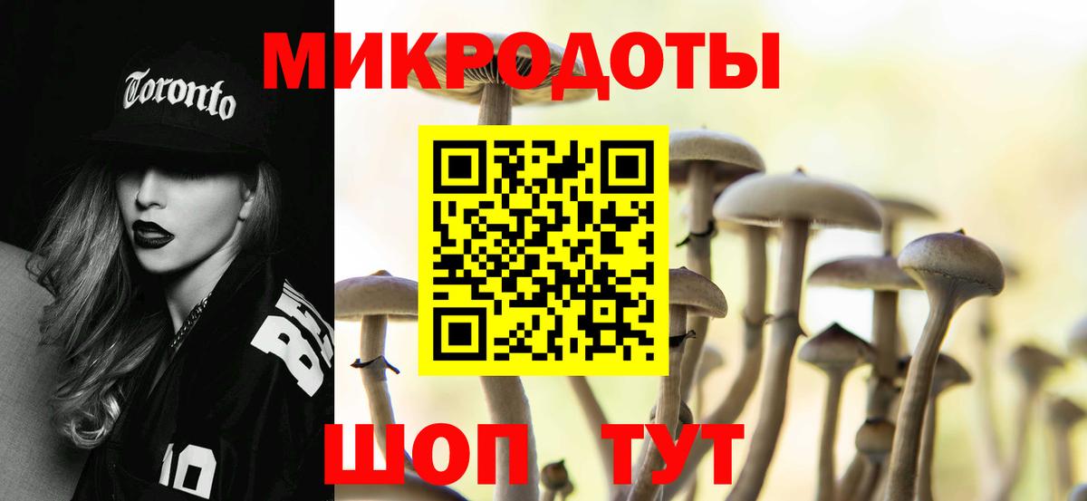 Псилоцибиновые грибы MAGIC MUSHROOMS Вязники
